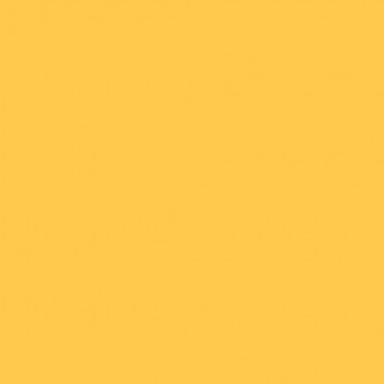 Фон бумажный FALCON EYES BACKDROP 2.72x10 желтый (14) Фон бумажный FALCON EYES BACKDROP 2.72x10 желтый (14)