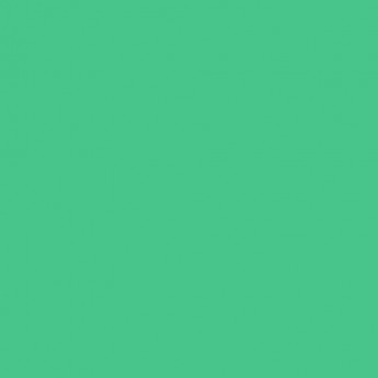 Фон бумажный FALCON EYES BackDrop 2.72x10 зеленый (54) Фон бумажный FALCON EYES BackDrop 2.72x10 зеленый (54)