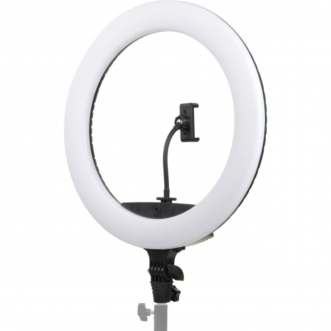 Осветитель кольцевой FALCON EYES BeautyLight 450R LED 28786